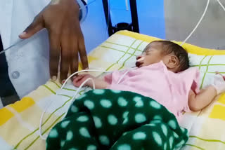 मानवता को शर्मसार, sri ganganagar news , born baby found