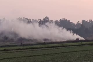 Paddy straw is being burnt in Gohana