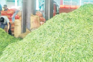 Pea prices reduced from 125 to 25 kg in renukaji