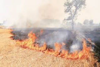 Stubble burning continues in parts of Punjab  Stubble burning  Stubble burning in Punjab  Pollution due to stubble burning  കച്ചി കത്തിക്കൽ തുടരുന്നു  പഞ്ചാബിലെ ബാഡ്‌ഡോവൽ ഗ്രാമം  വായു മലിനീകരണം  കർഷകർ