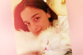 Alia Bhat with her pet