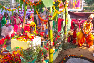 celebrated Gopashtami festival