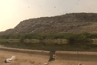 a dump yard became as a mountain in delhi and people are facing problems with that dump yard