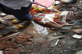 The woman who was rescued from the public toilet in Kurla area of Mumbai after a portion of it collapsed, passed away.