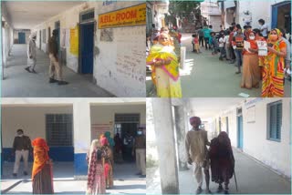 Chittorgarh News, Voting in Chittorgarh, पंचायती राज चुनाव