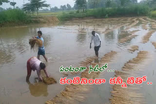 crop-losses-in-visakha-due-to-heavy-rains
