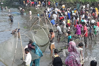 A rare fish was caught in Bhedisahi village