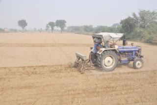 sowing of wheat haryana