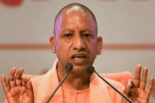 cm yogi