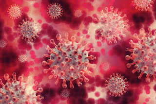 Guntur has the second highest number of deaths due to the virus
