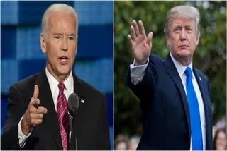 Trump- Biden