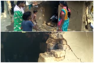 Elephant terror in Subarnapur, houses of 3 families demolished