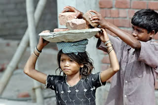 'Focus on reopening schools will avert child labour relapse'