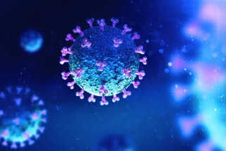 Study reveals two more illnesses associated with SARS-CoV-2