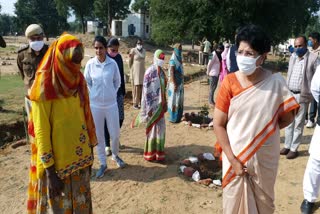 Plantation in Ajmer Prison, Plantation in Ajmer