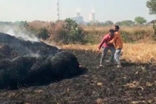 Farmer crop burn in Baloda of Janjgir