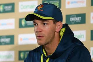 Series loss to India still annoys and grinds me, Says Tim Paine