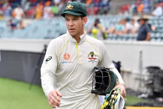 Test captain captain Tim Paine