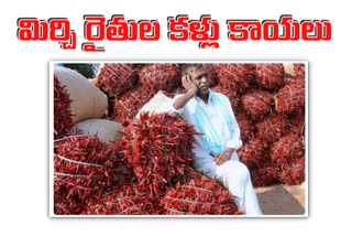 mirchi farmers ong