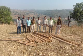 Teak wood seized in Betul