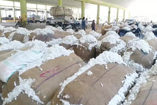 Record cotton sales at Adoni Market Yard at kurnool district