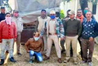 khatima bait wood smuggler arrested