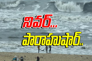 nivara cyclone effect on andhra pradesh