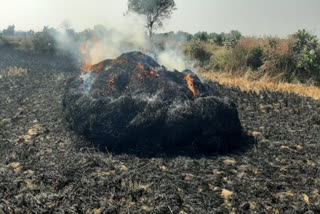 Paddy crop catches fire in Chhattisgarh