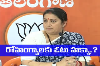 smriti irani on ghmc elections