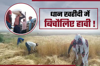 middlemen-dominating-paddy-purchase-in-hazaribagh