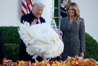 Trump skips turkey jokes, gives thanks for COVID-19 vaccines