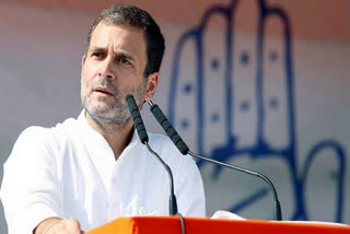 Flood relief kits from Rahul Gandhi found abandoned, trigger stir