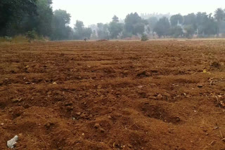 Farmers upset due to drought in Niwari