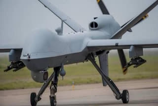 American Predator drone