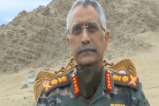 Army Chief General Manoj Naravane, file photo