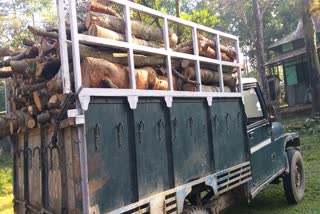 truck full of wood seized in biswanath assam etv bharat news