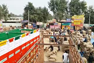 Corona cases in Alwar,  Onion Market of alwar