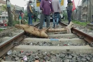 trade union strike in domjur station