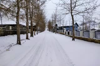 Fresh snowfall in Manali