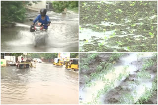 rains at prakasham district