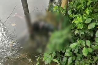 deadbody recovered in baksa