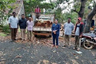 police take over teak  logs at kapavaram