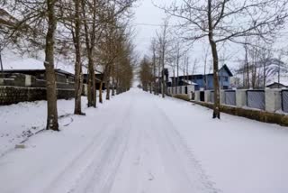 jalori-pass-closed-due-to-snowfall-in-manali