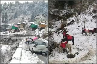 snowfall in kufri