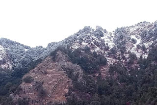 Dhanaulti