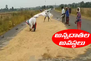 farmers suffer in khammam paleru constituency with effect of nivar cyclone