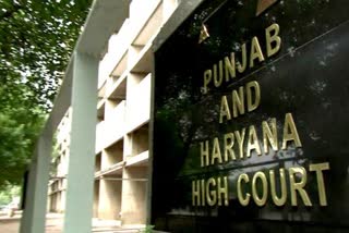 punjab haryana High Court