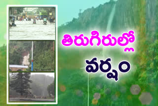 nivar cyclone effect on tirumala