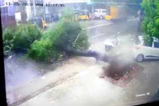 Shocking visuals of a man getting trapped in a tree fall in Chennai