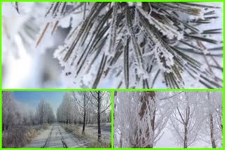 Tekes River National Wetland Park has turned white with snow and tree branches coated with rime